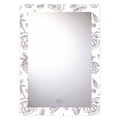 Gương phòng tắm Đình Quốc ĐQ 4188 (500x700mm)  