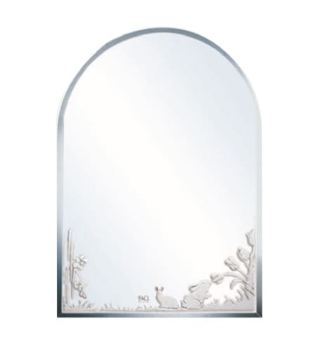 Gương phòng tắm Đình Quốc ĐQ 4236 (450x600mm)