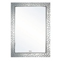 Gương phòng tắm Đình Quốc ĐQ 2140 (500x700mm) 