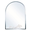 Gương phòng tắm Đình Quốc ĐQ 4570 (500x700mm) 