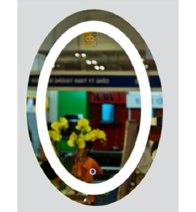 Gương đèn led phòng tắm Đình Quốc ĐQ 67033 (500x700mm)