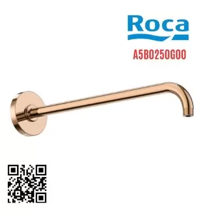 Tay sen gắn tường Raindream Roca A5B4E50G00