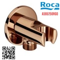 Cài sen tắm gắn tường Roca Aqua A5B5250RG0