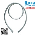Dây sen tắm PVC Roca A5B2515C0N