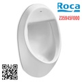 Bồn tiểu nam treo tường Euret Roca Z35945F000