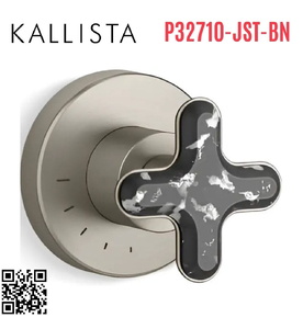 Mặt nạ điều khiển lưu lượng sen tắm âm tường Nickel Kallista P32710-JST-BN