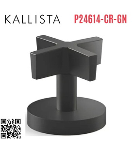 Tay gạt chuyển hướng gắn bồn xanh đen Kallista P24614-CR-GN