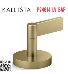 Tay gạt chuyển hướng gắn bồn vàng Kallista P24614-LV-BAF