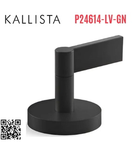 Tay gạt chuyển hướng gắn bồn xanh đen Kallista P24614-LV-GN