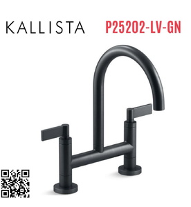 Vòi chậu rửa bát nóng lạnh màu xanh đen Kallista P25202-LV-GN