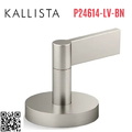 Tay gạt chuyển hướng gắn bồn Nickel Kallista P24614-LV-BN