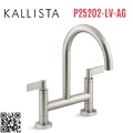 Vòi chậu rửa bát nóng lạnh Nickel Kallista P25202-LV-AG
