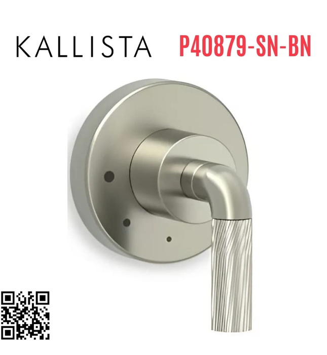 Mặt nạ điều chỉnh lưu lượng sen tắm Nickel Kallista P40879-SN-BN