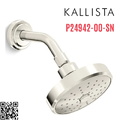 Bát sen tắm và tay sen gắn tường màu Nickel Kallista P24942-00-SN