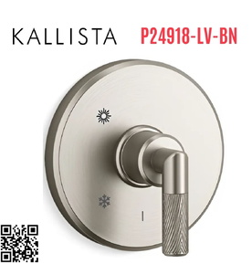 Mặt nạ điều khiển đơn sen tắm âm tường Nickel Kallista P24918-LV-BN