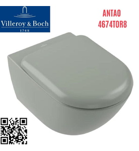 Bồn cầu treo tường Đức Villeroy-Boch Antao 4674T0R8