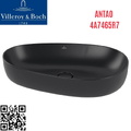 Chậu rửa lavabo dương bàn Đức Villeroy-boch Antao 4A7465R7