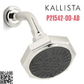Bát sen tắm đa chức năng gắn tường màu Nickel Kallista P21542-00-AD