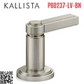 Tay gạt chuyển hướng gắn bồn nickel Kallista P80237-LV-BN