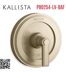Mặt nạ điều khiển đơn sen tắm âm màu vàng Kallista P80254-LV-BAF