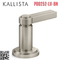 Tay gạt chuyển hướng gắn bồn nickel Kallista P80252-LV-BN