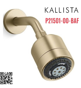 Bát sen tắm và tay sen gắn tường màu vàng Kallista P21501-00-BAF