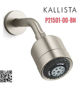 Bát sen tắm và tay sen gắn tường màu nickel Kallista P21501-00-BN