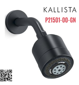 Bát sen tắm và tay sen gắn tường màu xanh đen Kallista P21501-00-GN