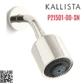 Bát sen tắm và tay sen gắn tường màu nickel Kallista P21501-00-SN