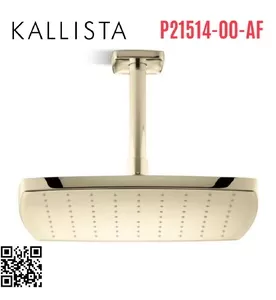 Bát sen tắm phun mưa vuông màu vàng Kallista P21514-00-AF