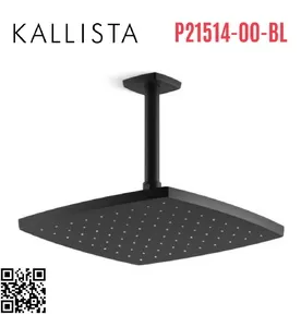 Bát sen tắm phun mưa vuông màu đen Kallista P21514-00-BL