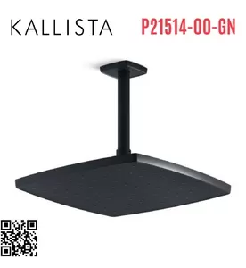 Bát sen tắm phun mưa vuông màu xám đen Kallista P21514-00-GN