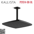 Bát sen tắm phun mưa vuông màu đen Kallista P21514-00-BL