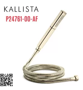 Bộ dây bát sen tắm cầm tay màu vàng Kallista P24761-00-AF