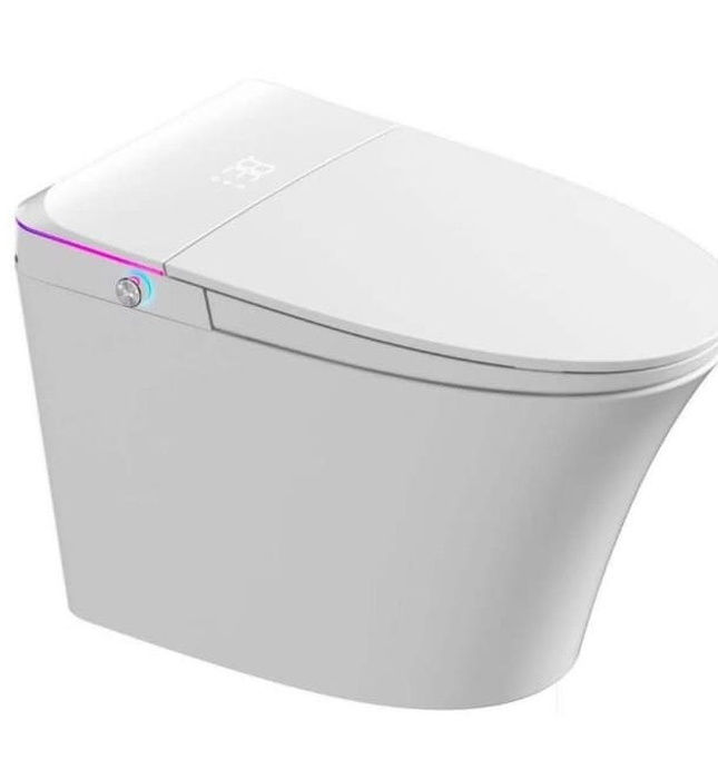 Bồn cầu thông minh Royal RA-V9D