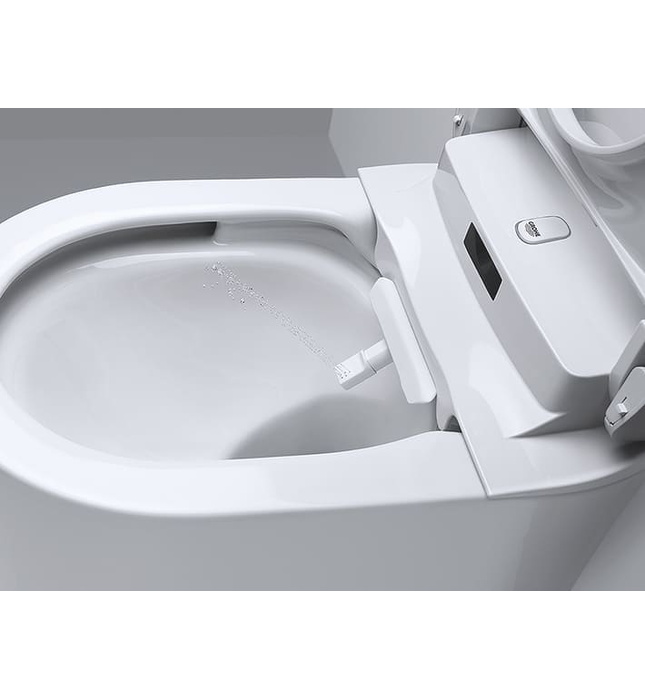 Bồn Cầu Điện Tử Treo Tường Đức Grohe 36543SH0 