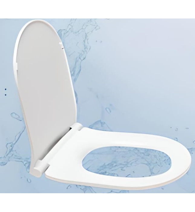 Nắp bệt đóng êm Luxbath NL-007 (vừa cho bồn cầu Roca)