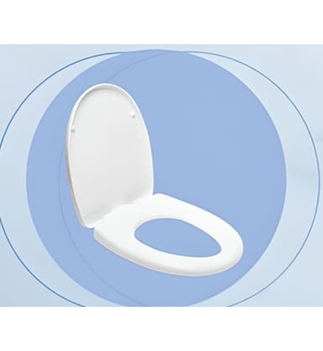 Nắp bệt đóng thường Luxbath NL-011