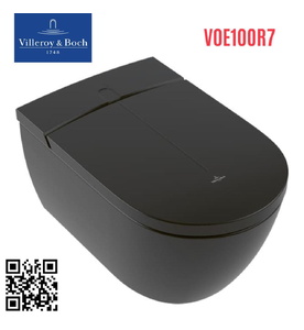 Bồn cầu treo tường Đức Villeroy Boch ViClean V0E100R7
