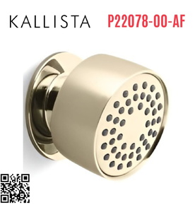 Bát sen tắm gắn tường màu vàng Kallista P22078-00-AF