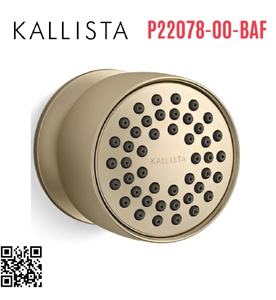 Bát sen tắm gắn tường màu vàng Kallista P22078-00-BAF