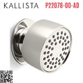 Bát sen tắm gắn tường màu nickel Kallista P22078-00-AD