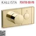 Mặt nạ điều khiển nhiệt độ sen tắm 1 cổng màu đồng Kallista P34718-00-PB