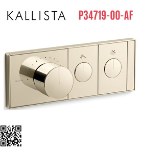 Mặt nạ điều khiển nhiệt độ sen tắm 2 cổng màu vàng Kallista P34719-00-AF