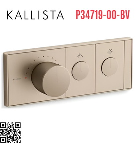 Mặt nạ điều khiển nhiệt độ sen tắm 2 cổng màu đồng Kallista P34719-00-BV