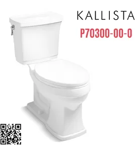 Bồn cầu 2 khối xả gạt tay Kallista P70300-00-0
