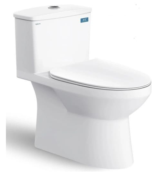 Bồn cầu 1 khối Viglacera V811 