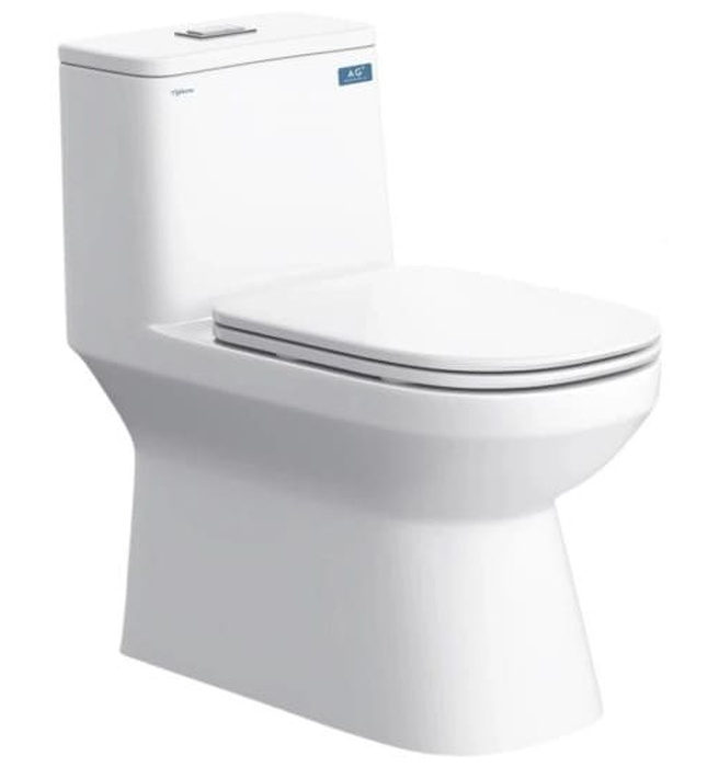 Bồn cầu 1 khối Viglacera V816