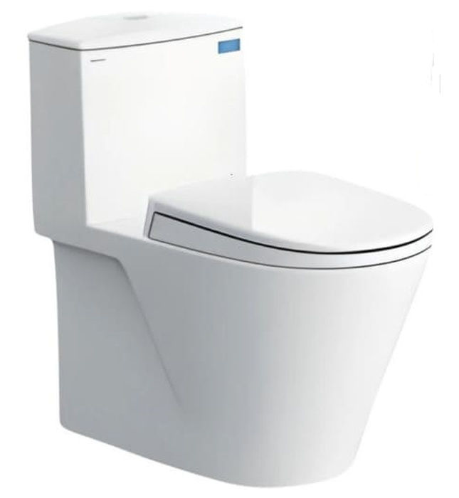 Bồn cầu 1 khối nắp êm Viglacera V817