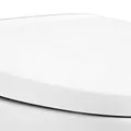 Nắp bàn cầu rơi êm Kallista P70363-00-0